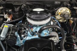 
										1967 Pontiac GTO full									