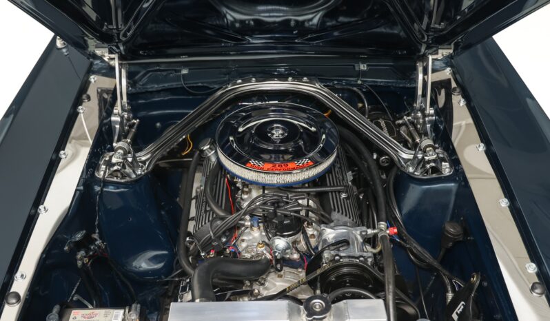 
								1966 Ford Mustang Fastback full									