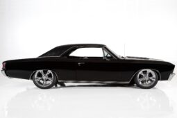 
										1967 Chevrolet Chevelle Pro-Touring full									
